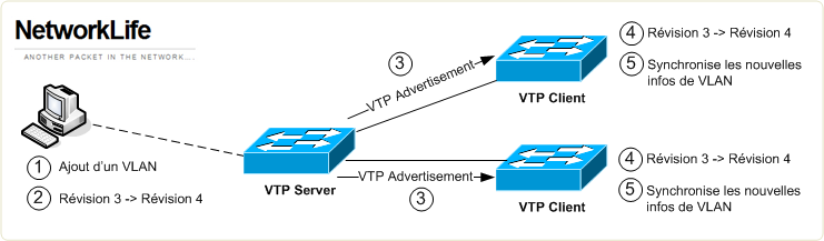 VTP