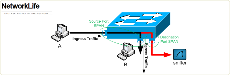 span-terminology